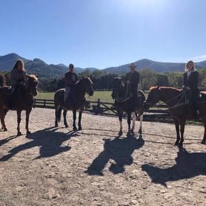 Meet your Posher, Debbie